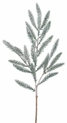 Produktbild von DPI künstlicher Tannenzweig beeist 63 cm