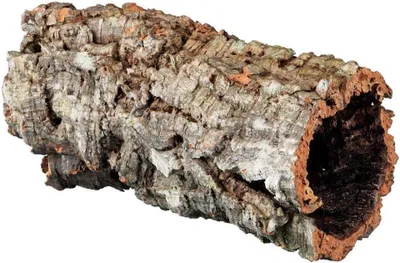 Produktbild von Korkröhre für Reptilien und Nagetiere – natürlicher Kork – Durchmesser 14 cm – Länge 40 cm