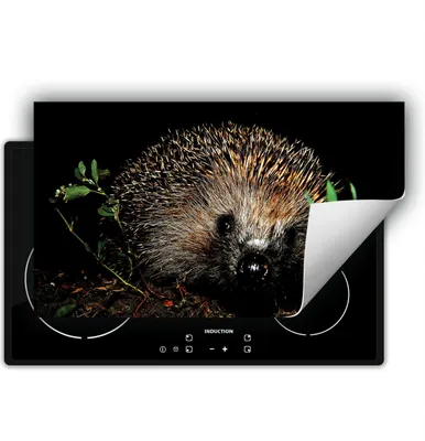 Image de DarHaus Plaque de recouvrement pour cuisinière 90x52 cm Tapis antidérapant Enroulable, noir - Hérisson