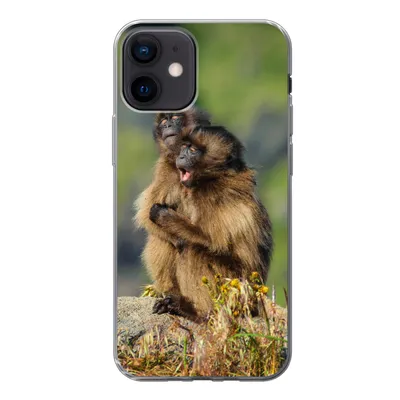 Produktbild von MuchoWow® Handyhülle Schutzhülle Hülle für iPhone 12 Affen - Pflanzen - Steine - Familie Silikon Softcase Handy Hülle - Schutzhülle
