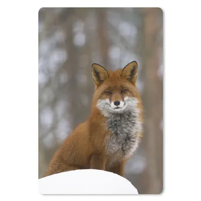 Produktbild von MuchoWow® Mauspad Mousepad Fuchs - Wald - Rot 18x27 cm - Mousepads - Maus Mat - Pad - Mausunterlage