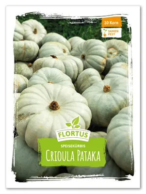 Produktbild von Speisekürbis Crioula Pataka | Speisekürbissamen von FLORTUS