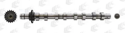 Produktbild von AE CAM746 Nockenwelle Einlass für FORD Fiesta Mk6 Schrägheck (JA8, JR8) Fiesta Mk5 Schrägheck (JH1, JD1, JH3, JD3) Focus II Schrägheck (DA, HCP, DP)