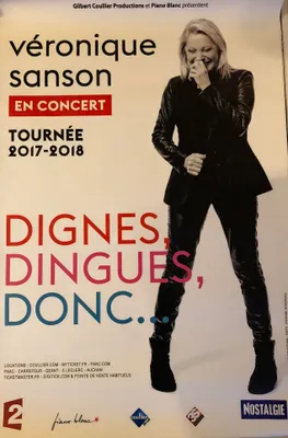 Produktbild von Véronique SANSON - "Dignes, Dingues, Donc…" - Plakat - 80x120 cm