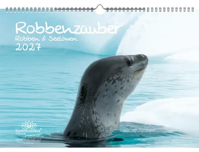 Produktbild von Robbenzauber DIN A3 Kalender für 2027 Robben und Seelöwen - Seelenzauber