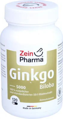 Produktbild von Ginkgo Caps, 120 St KAP