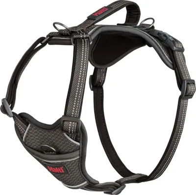 Immagine prodotto di Pettorina per cani Compagnia degli Animali Grigio S 28-42 cm