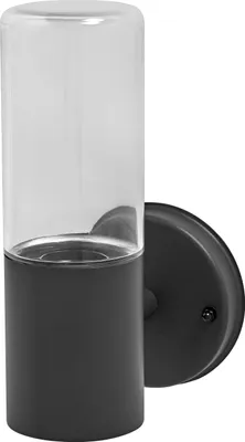 A dark gray and clear glass outdoor wall light is shown against a white background.