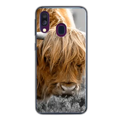 Produktbild von MuchoWow® Handyhülle Schutzhülle Hülle für Samsung Galaxy A40 Scottish Highlander - Pflanzen - Schwarz - Weiß Silikon Softcase Handy Hülle - Handy-Tasche