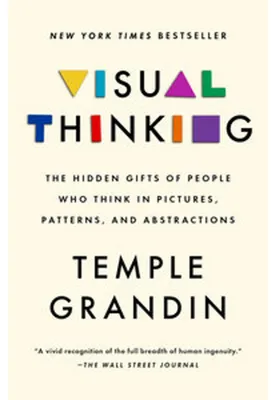 Produktbild von Visual Thinking