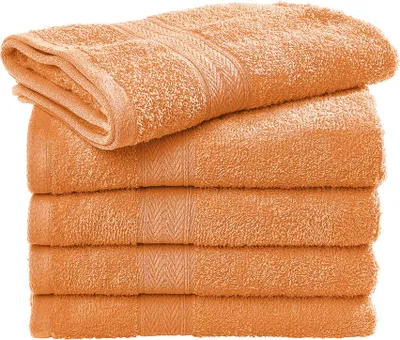 Obrázek produktu pro Rhine Ručník pro hosty COMFORT