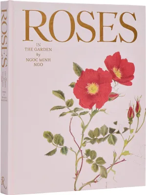 Produktbild von Rosen im Garten