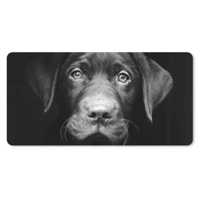 Produktbild von MuchoWow® Schreibtischunterlage Nahaufnahme Labrador Welpe vor schwarzem Hintergrund in schwarz und weiß 80x40 cm - XXL Mauspad - Gaming Mauspad