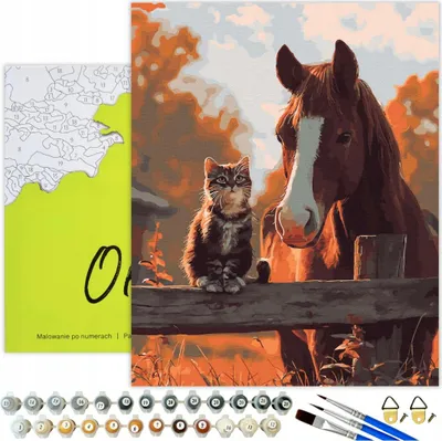 Produktbild von Malen nach Zahlen Erwachsene & Kinder Tiere Katze Pferd 50x40 - 30 Acrylfarben, Leinwand mit Holzrahmen, 3 Pinseln und Zubehör Oh Art!