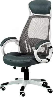 Productafbeelding van Briz bureaustoel, chefstoel, ergonomische bureaustoel met netrug, hoofdsteun, Anyfix kantelmechanisme, lendensteun en rubberen wielen, geschikt voor thuiswerken. Draagvermogen tot 150 kg