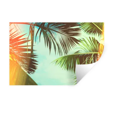 Produktbild von MuchoWow® Wandtattoo Wandsticker Wandaufkleber Palmen - Himmel - Sonne 60x40 cm Selbstklebend und Repositionierbar - Wierderverwendbar - Selbstklebend