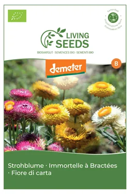 Produktbild von Strohblume 3.9g Saatgut von Living Seeds