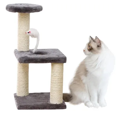 Image de Arbre à chat avec griffoir et hamac