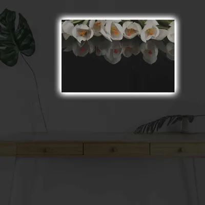 Produktbild von Opviq, 4570DHDACT- SHN4392, Bunt, Leinwandbilder, 45 x 70 cm, 100% Wildleder -Leinwand