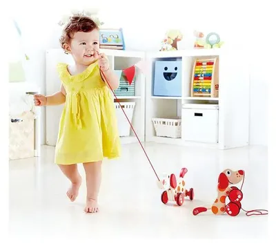 Produktbild von Hape Push & Pull Hündchen Puppy, E0347