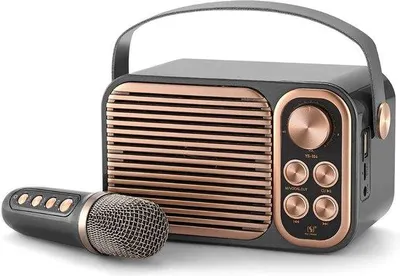 Obrázek produktu pro Karaoke sada pro dospělé i děti – přenosná karaoke souprava s reproduktorovým systémem a bezdrátovým mikrofonem – ideální pro soukromé oslavy