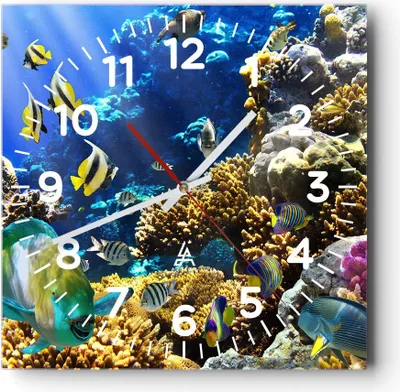 Produktbild von Wanduhr - Quadrat - Glasuhr - Korallenriff Ozean Krabbe Fisch - 40x40cm - Schleichendes Uhrwerk - Lautlos - zum Aufhängen bereit - Dekoration Modern - Wanddekoration aus Glas - C4AC40x40-2662