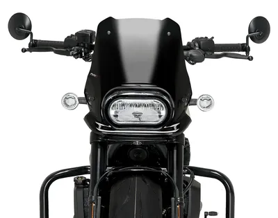Productafbeelding van Naked sport kuip van Puig, zwart, voor Harley Davidson Sportster S