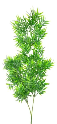 Immagine prodotto di Clayre & Eef, fiore artificiale, verde, plastica