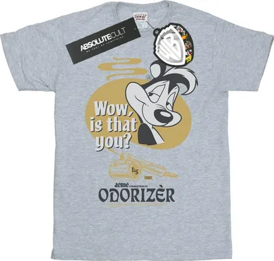 Produktbild von Looney Tunes - "Odorizer" T-Shirt für Damen BI31474 (XXL) (Grau)