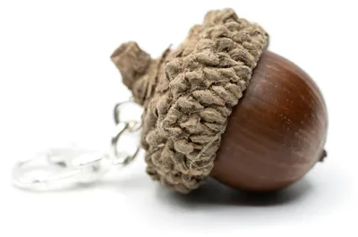 Produktbild von Eichel Charm Miniblings Anhänger Weihnachten Nuss Nüsse Eicheln braun