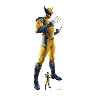 Image de Wolverine Hugh Jackman, stand en carton 69x194 cm