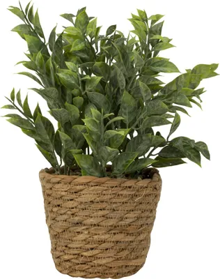Produktbild von Künstliche Grünpflanze modern arrangiert im Seegrasübertopf Höhe 28 cm ⌀ 12cm