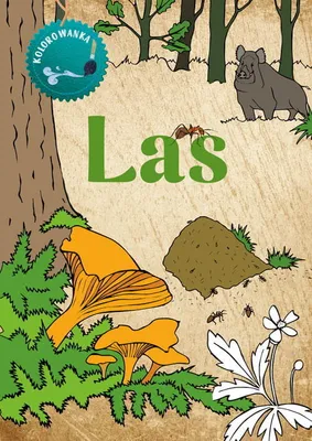 Image de Las . Kolorowanka - Katarzyna Kopiec-Sekieta (Livres de coloriage pour enfants en polonais)