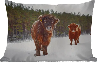 Produktbild von MuchoWow® Outdoor Kissen - Schottische Hochlandrind - Schnee - Kühe - 60x40 cm - Wetterfest - Lounge Kissen - Zierkissen - Kissen für Innenräume
