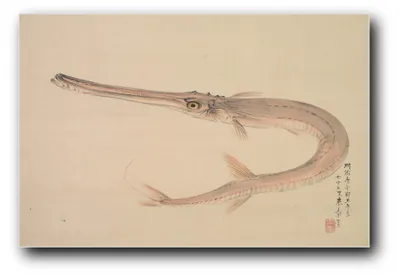 Produktbild von Kunstdruck „Nadelfisch (Yagara)“ von Nakajima Raishō – 30×45 cm – ungerahmt