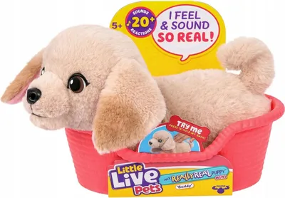 Produktbild von Little Live Pets My Really Real Puppy Minis – Buddy der Labrador, interaktiver Puppy mit 20+ Geräuschen und Reaktionen, inklusive Korb zum Präsentieren, niedliches Geschenk für Kinder (11 cm groß)