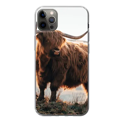 Produktbild von MuchoWow® Handyhülle Schutzhülle Hülle für iPhone 12 Pro Max Schottische Highlander - Tiere - Ländlich - Landschaft - Kuh - Natur Silikon Softcase Handy Hülle - Hartschale