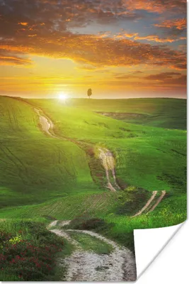 Produktbild von MuchoWow® Poster Toskana - Sonne - Hügel 80x120 cm - Papierdruck