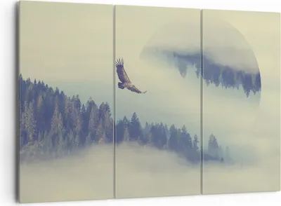 Produktbild von Bild auf Leinwand - Leinwandbild - Vogel Natur Wald - 165x110cm - Wand Bild - Wanddeko - Leinwanddruck - Bilder - Kunstdruck - Wanddekoration - Leinwand bilder - Wandkunst - CE165x110-3853