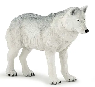 Immagine prodotto di Papo Wild Life Lupo artico 50195