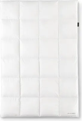Produktbild von OBB Black Forest Winterdecke Ava 200x200 cm, Gänsedaunen-Kassettendecke extra warm