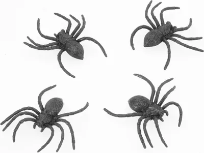 Produktbild von 4er Set "Spinnen" - 9 cm | Schwarz - Halloween Dekoration