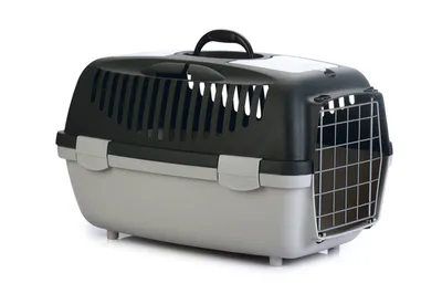Produktbild von ZOLUX Gulliver 2 grau – Transportbox mit Metalltür für Kleintiere – 55 x 36 x 35 cm