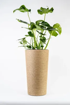Obrázok produktu pre ADONI Ručne vyrobený jutový kvetináč s vnútornou miskou (57 cm) – Veľký, dekoratívny vnútorný kvetináč v boho štýle, prírodná/béžová farba