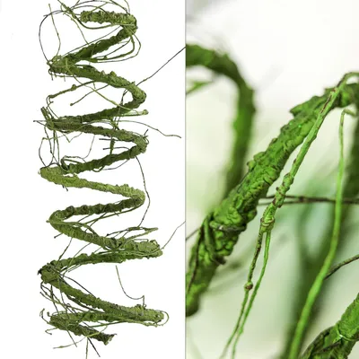 Image de Branche artificielle flexible pour décoration, 300 cm