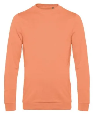 Productafbeelding van B&C - Heren sweatshirt met aangezette mouwen, model FK146 (maat XS) (kanelbruin)