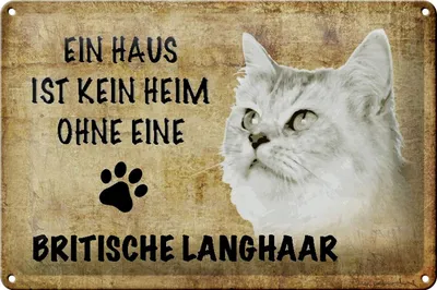 Produktbild von Blechschild Spruch 30x20cm britische Langhaar ohne kein Heim