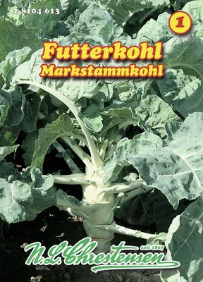 Artikelbild 1 von 'Markstammkohl' aus der Kategorie Kohlsamen