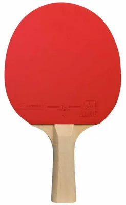 Imagen del producto de Cornilleau - Set de tenis de mesa "Family", para interiores, polietileno PP7281 (talla única) (/rojo)
