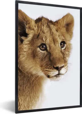 Produktbild von MuchoWow® Gerahmtes Poster Löwe - Wild - Jungtier 60x90 cm - Poster mit Schwarzem Bilderrahmen Wandposter Rahmen Foto Bilder - Kunst